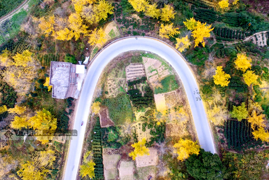 操你了高清无码