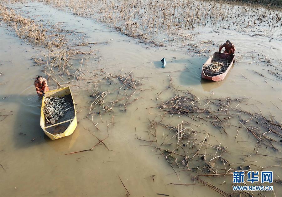 软件下载3.0.3免费OPPO版破解大全苹果,可以下载视频