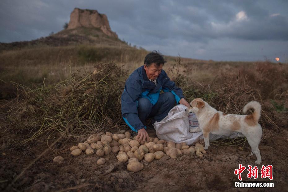 中国大陆尼姑一级片