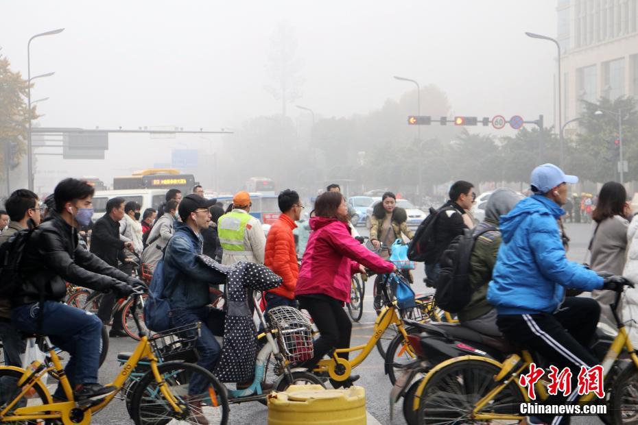欧美人与禽zozo另类