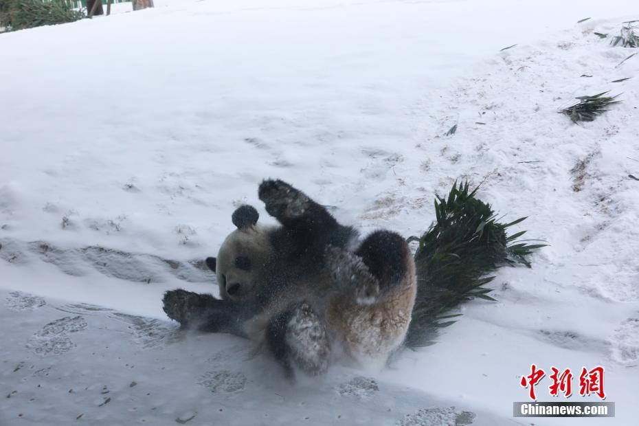 一级片黄色片
