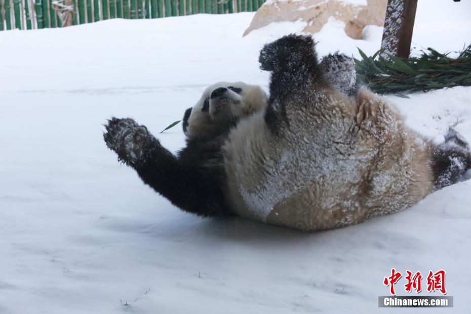 大學生做愛自拍