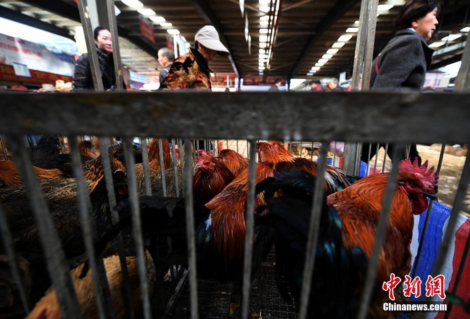 黄色 片 下载
