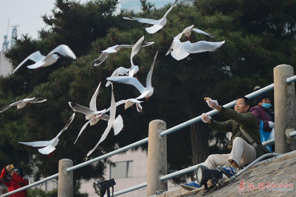 黑 丝 色情 视频