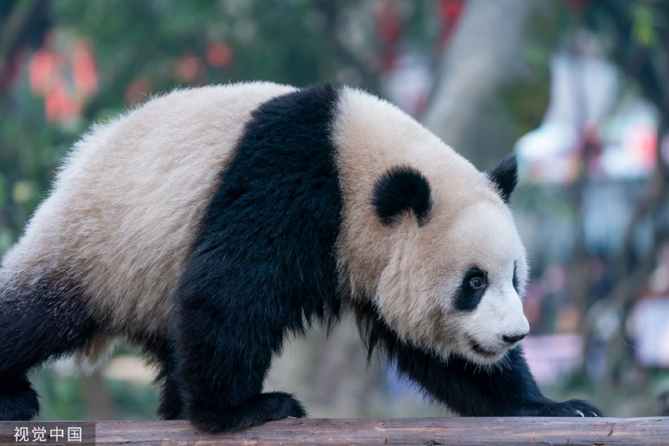自慰行為