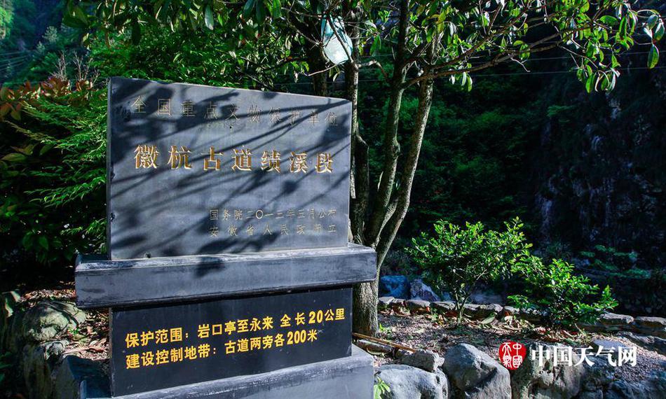 睡觉偷干