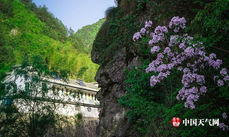 妹天堂