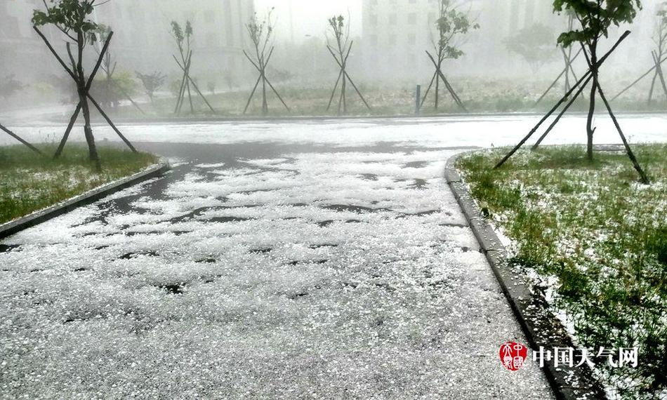公车上雪柔被猛烈进入