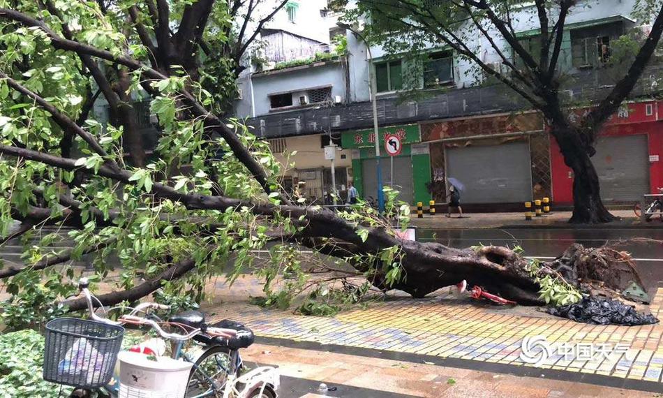 全世界正遭遇跟国内相似调控房住不炒