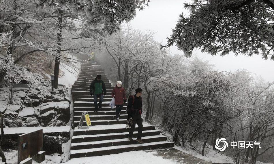欧美三级小视频