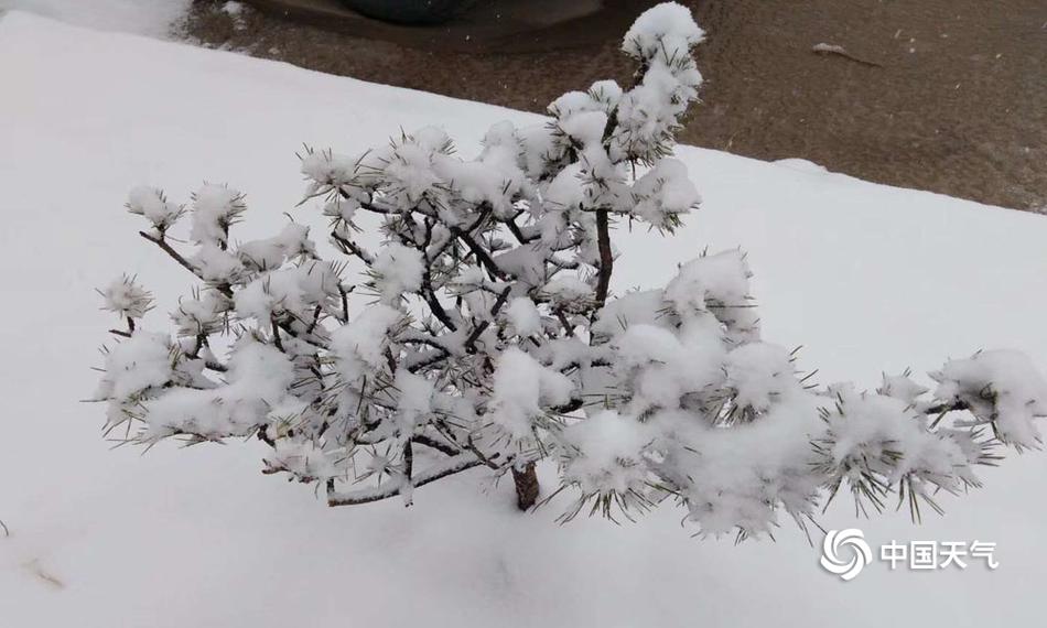 亚洲视频一区二区三区