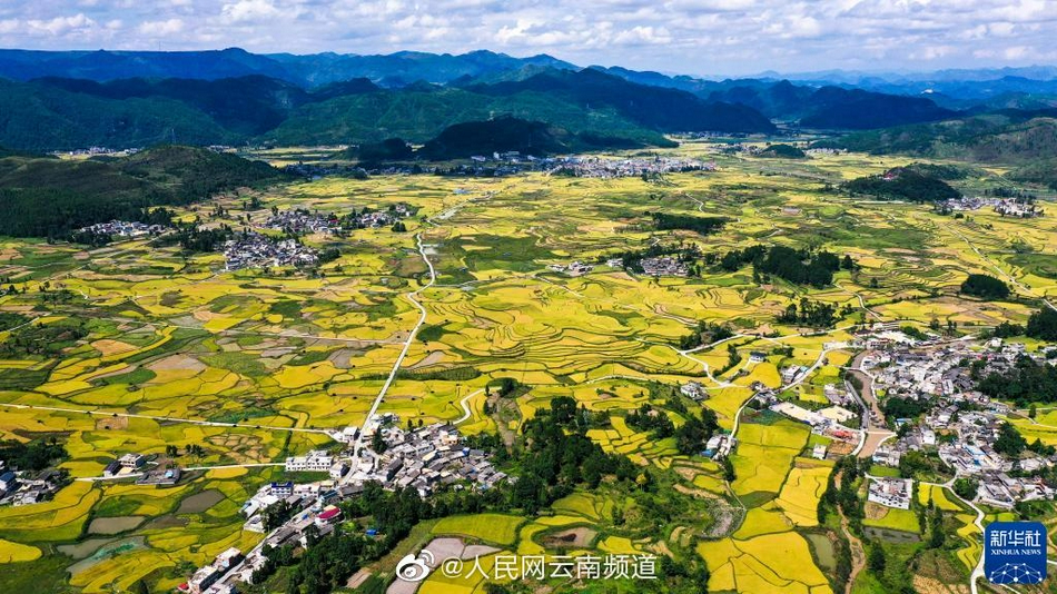 外国夫妻性生活黄色一级片