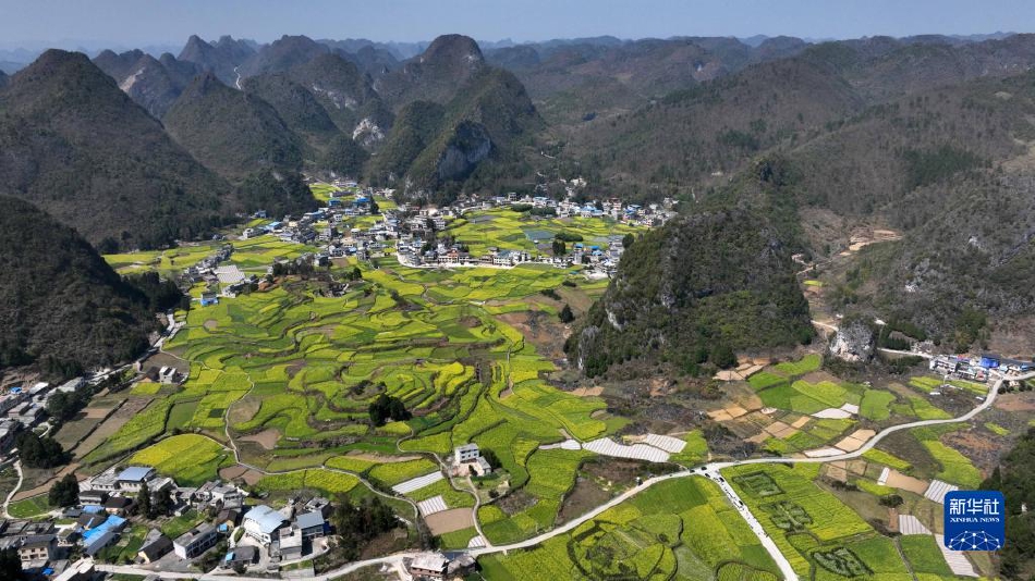 娇妻迎合黑人大属