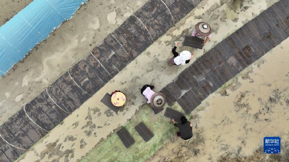 電愛側錄