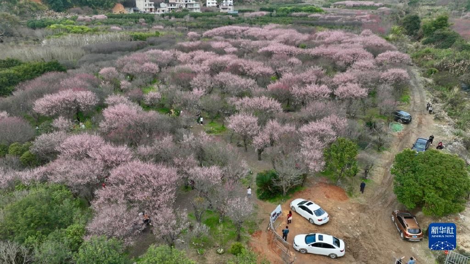 和岳每晚做的高潮嗷嗷叫