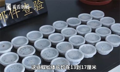 一级免费电影