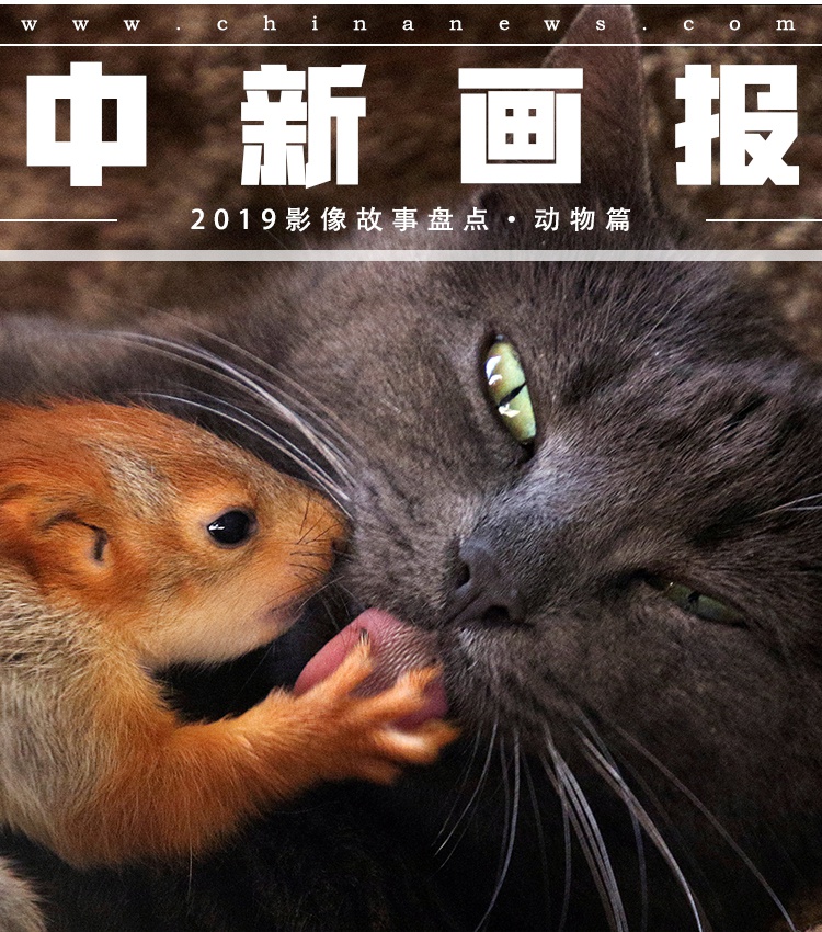 今井真由美