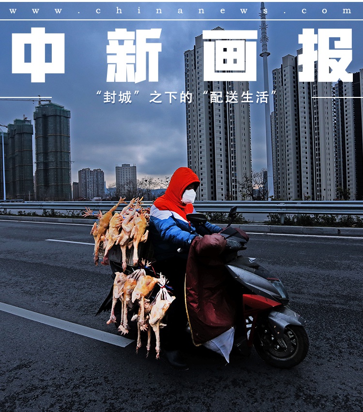 欧洲女人特黄大片