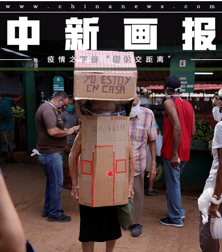 性孕妇Free特大另类