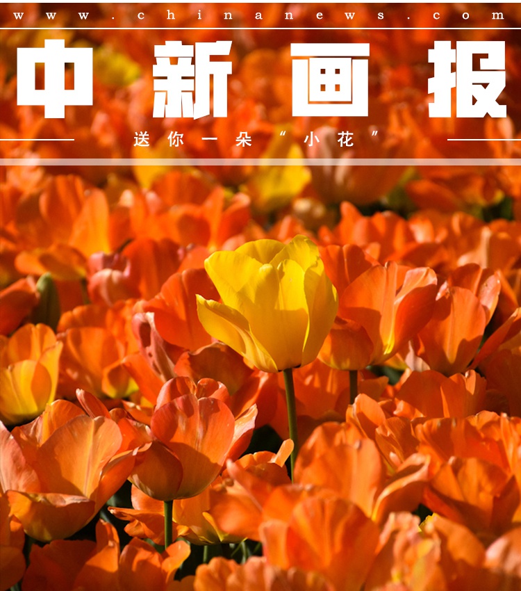 成海璃子