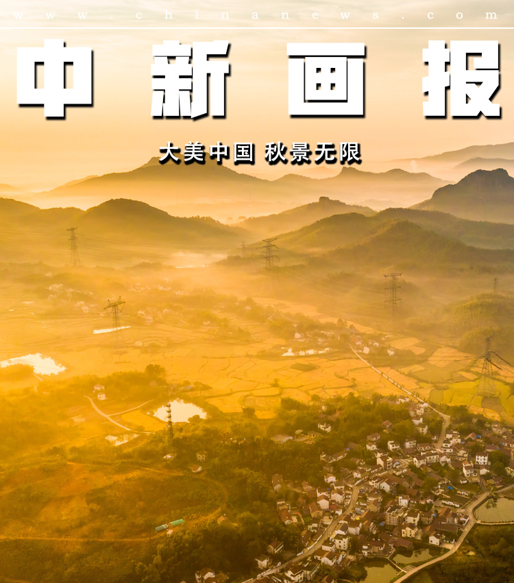 二级区域黄色网站