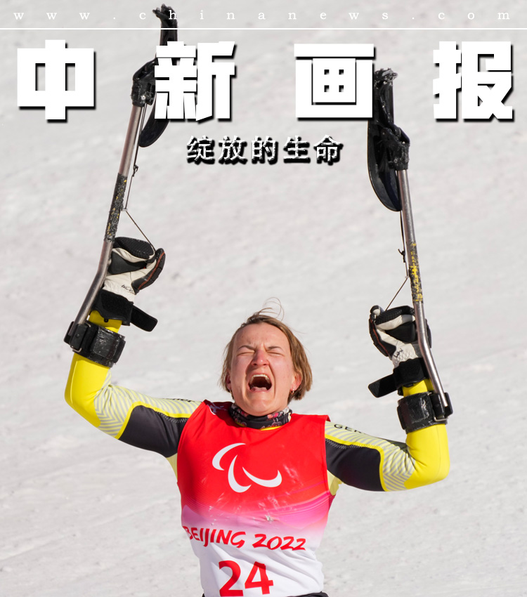 兔费的黄色视频