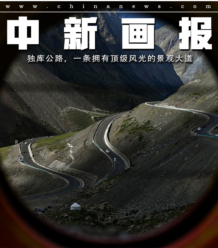 欧美肉体???Y