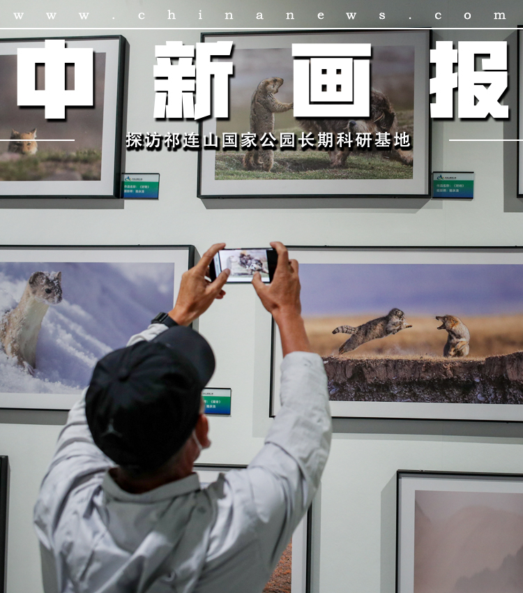 狠狠躁18三区二区一区