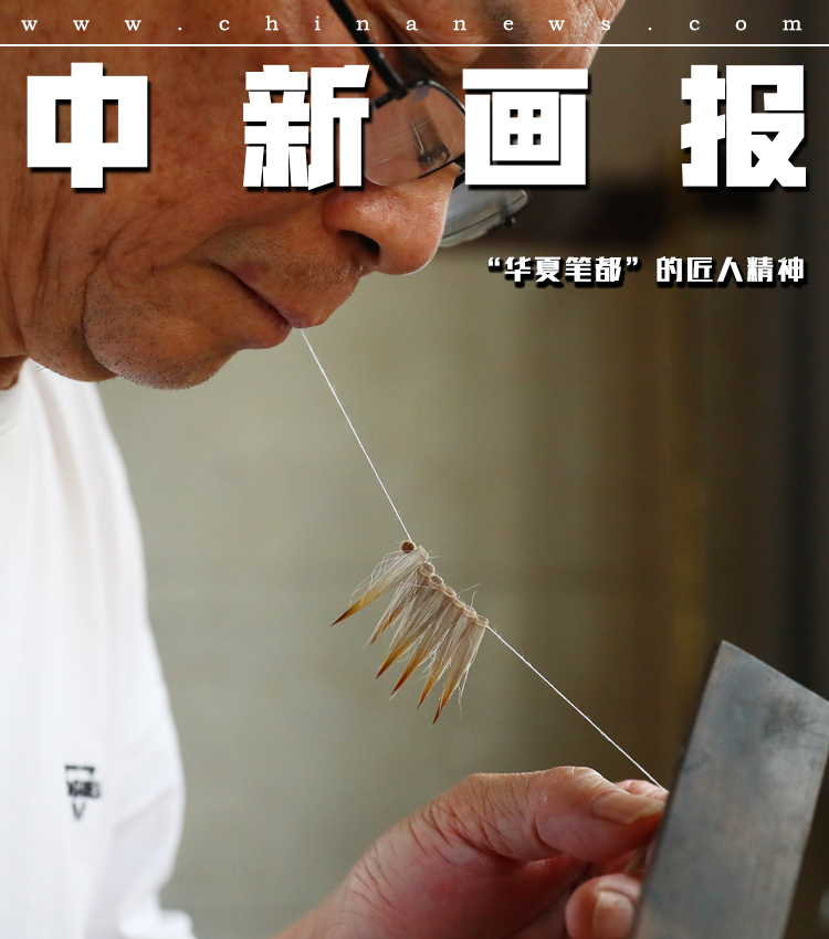 娇小小小泬BBBB