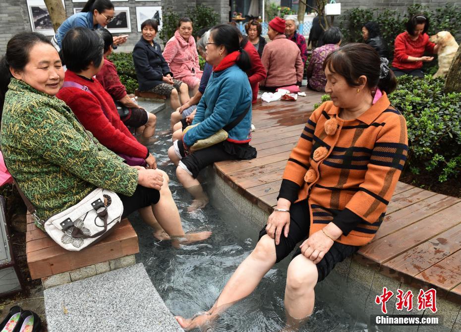 蝌蚪窝在线