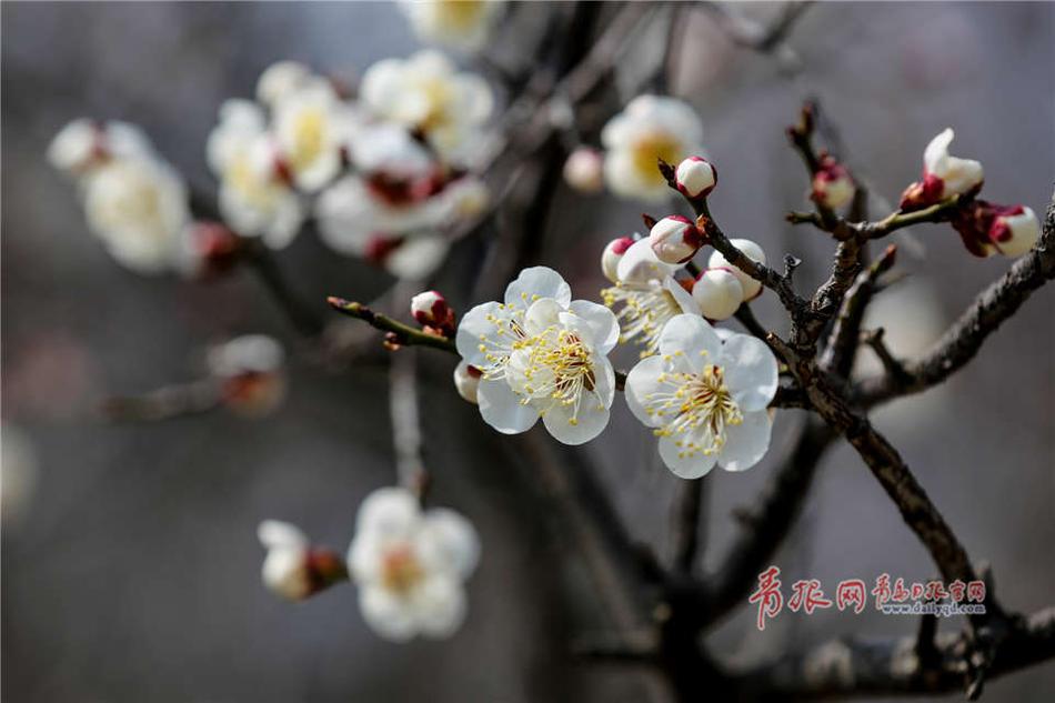 公交车上双乳被老汉揉搓玩