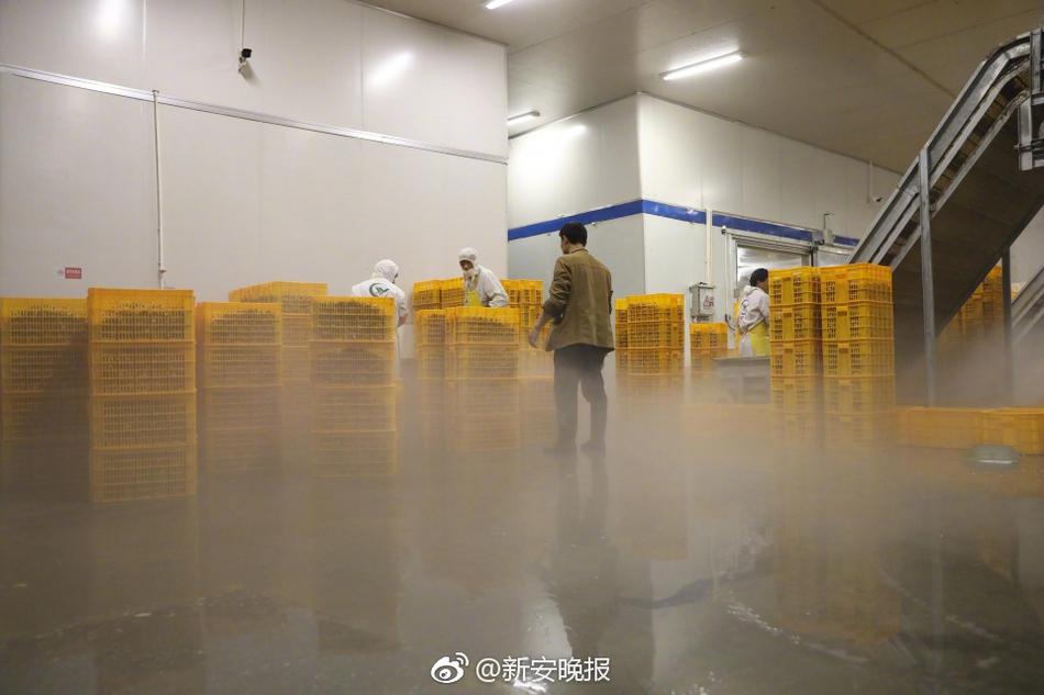 刘嘉玲被Qj视频免费