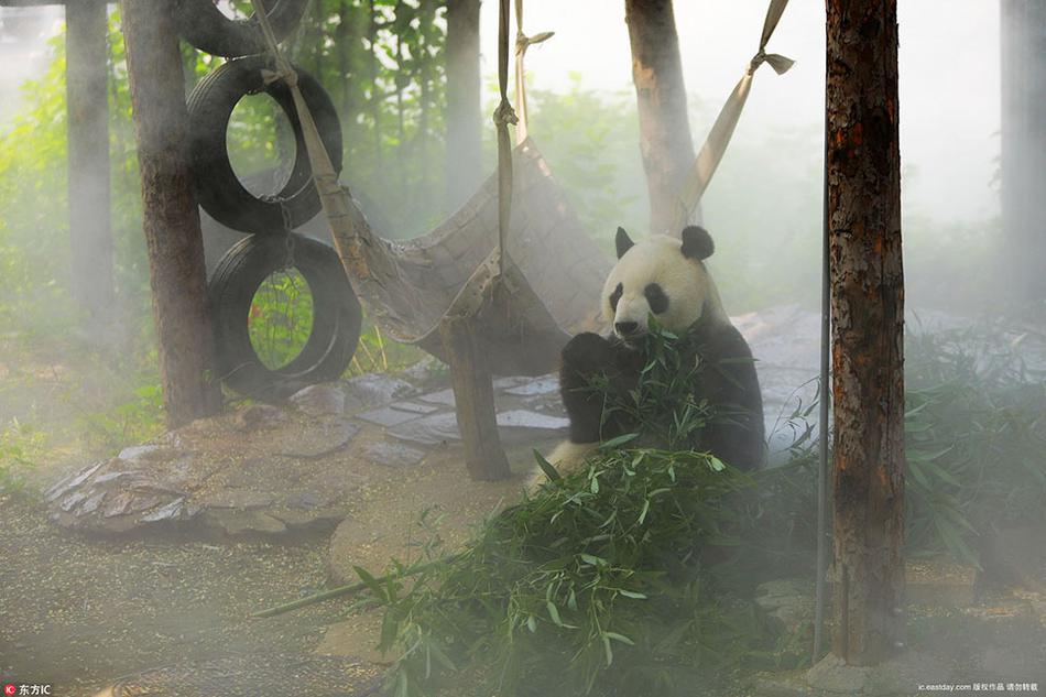 中国老头同性XXXXX