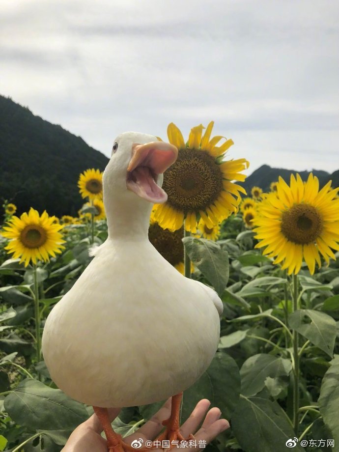 动漫美女被 羞羞动漫∴