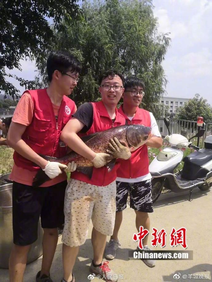 色戒无删减电影免费完整版在线播放