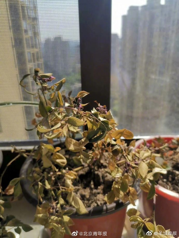 亚洲天堂在线视频