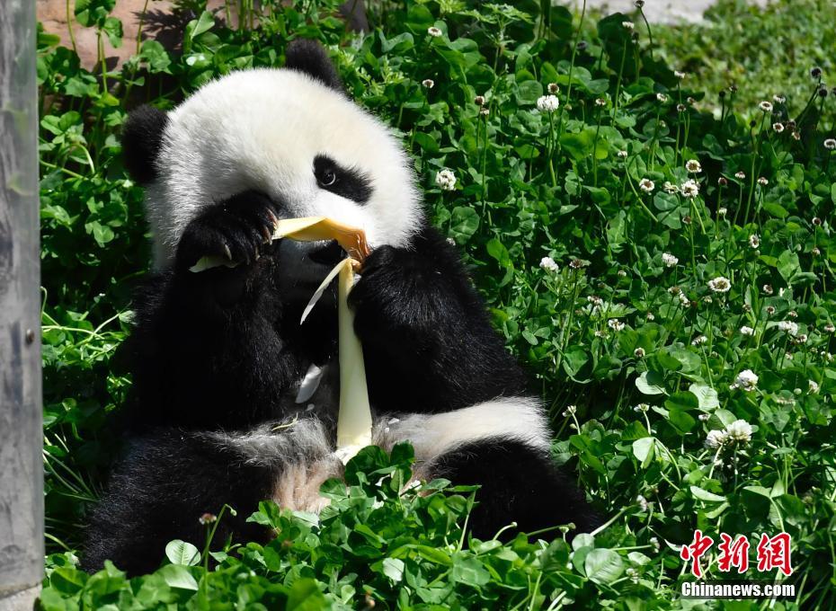 丫头把腿开大让我添添电影