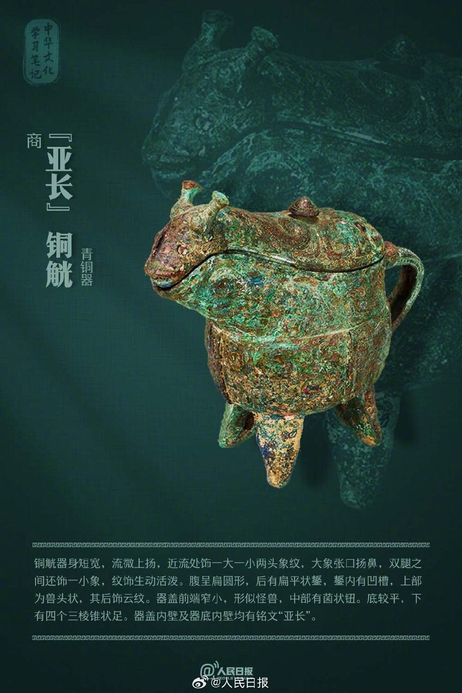 女贞操带
