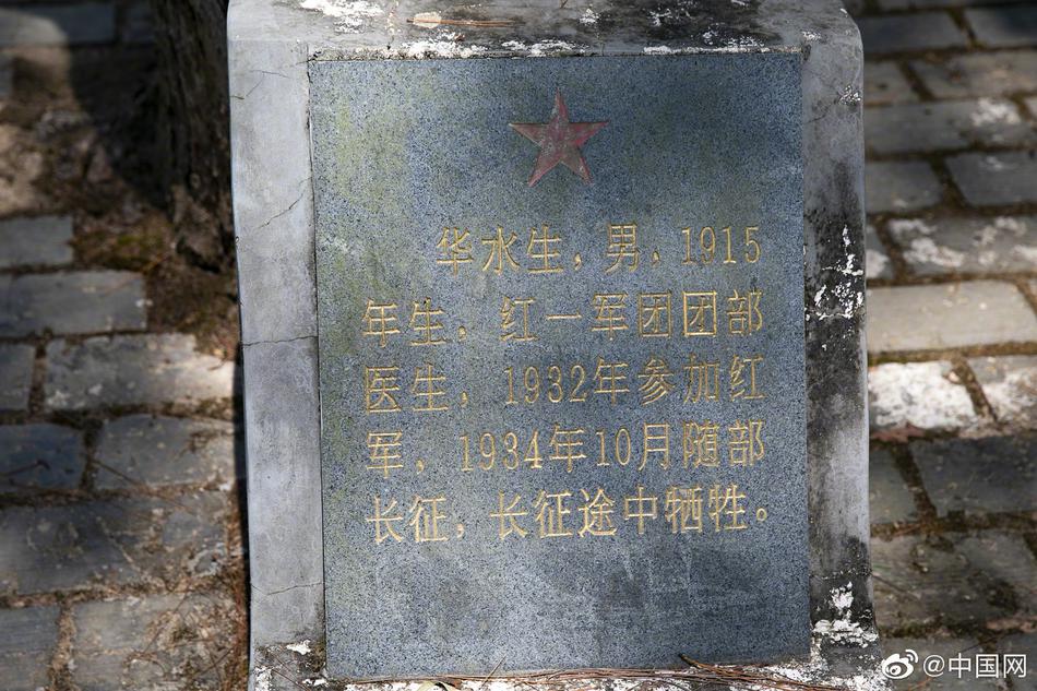 免费 嗨 片 直播 网