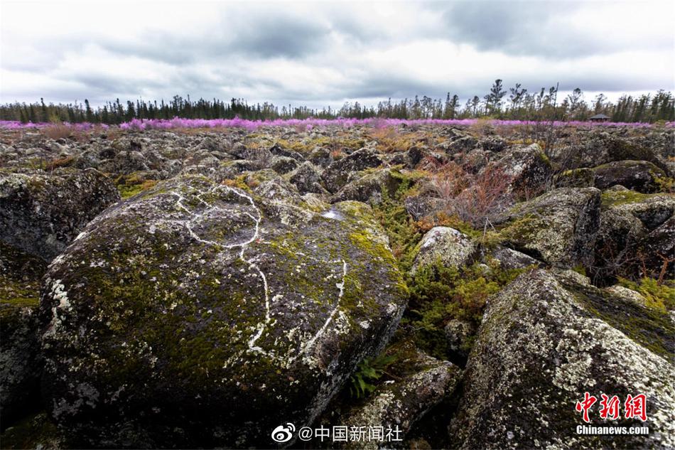 免费 下载 色情 视频
