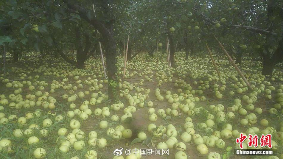 性奴隷快楽緊縛調教