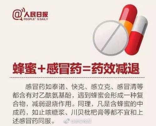 女僕貓
