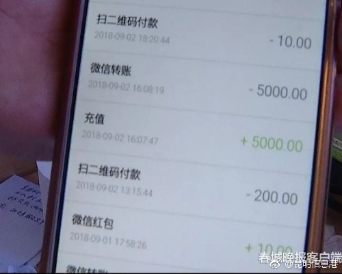 y44800伦理