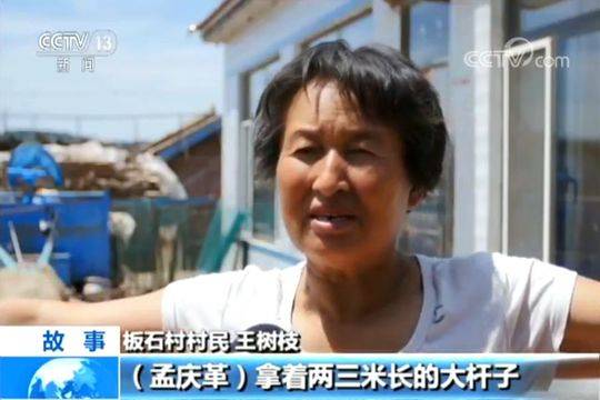 板石镇人口_老式黄青石板石图片