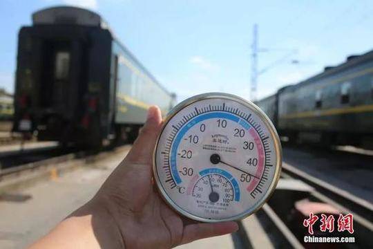 巨r精灵催眠樱花视频资源在线观看与剧情介绍