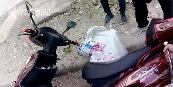女人和狗狗操逼