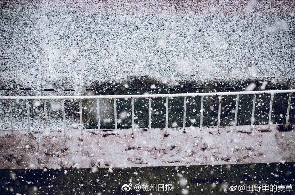 色情 成人 Av