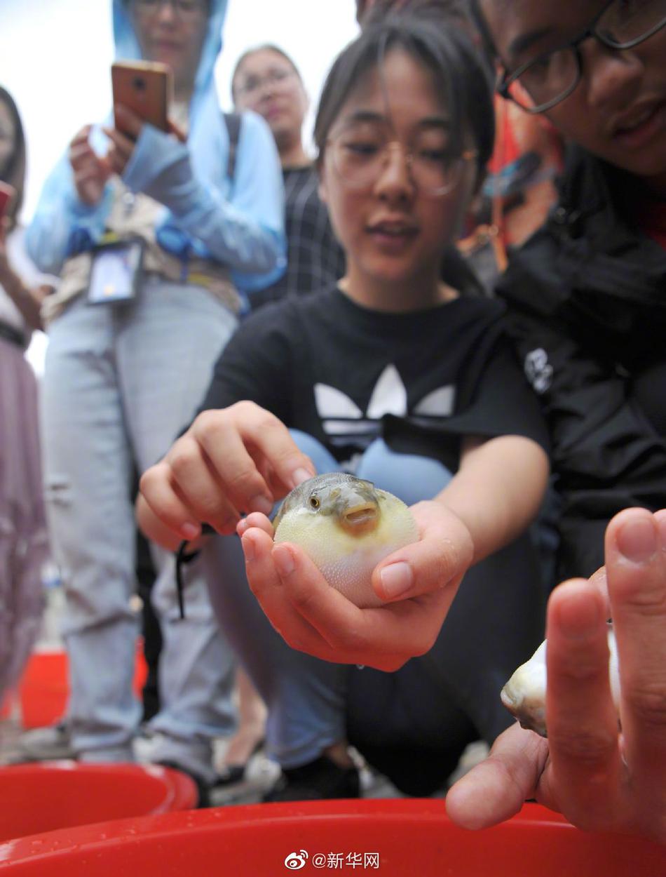 成人 电影 免费 下载