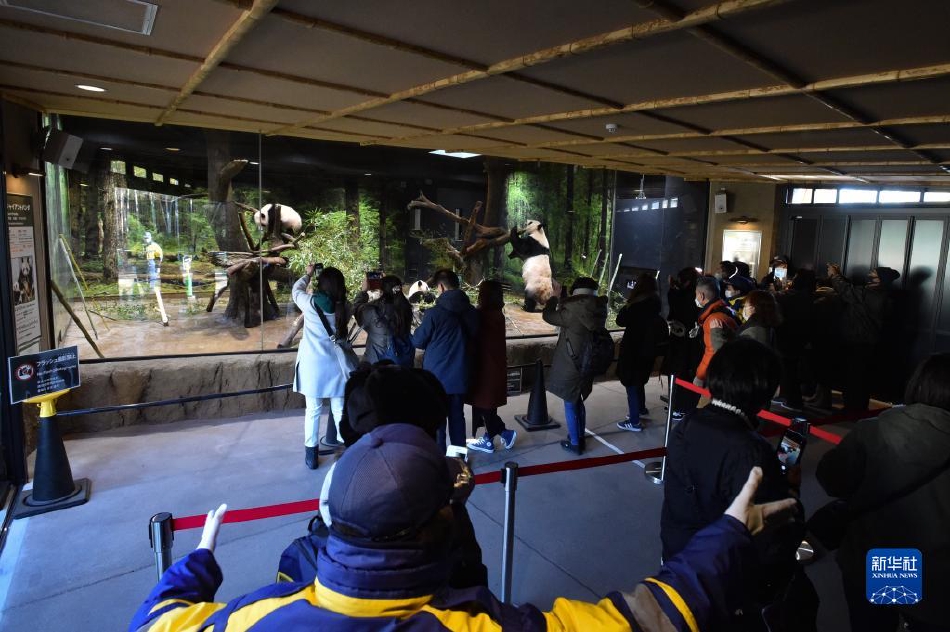 50人群体交乱