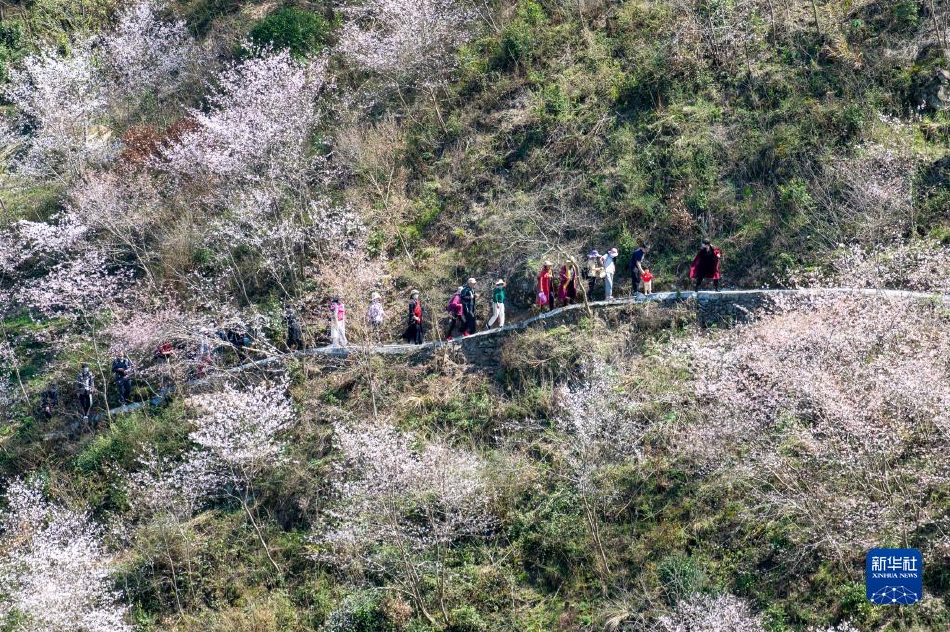 抖音风反差婊弹力摇 混剪
